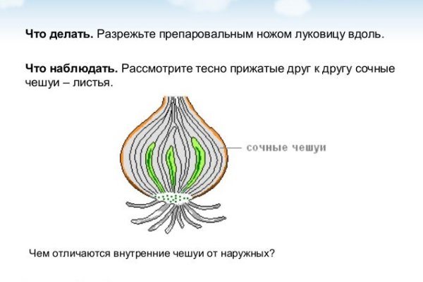 Кракен сайт вход