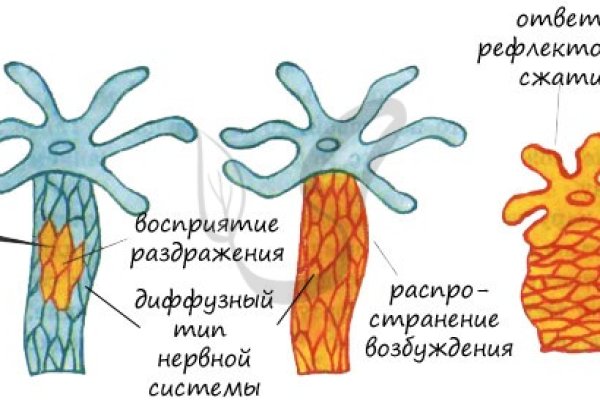 Ссылки даркнет