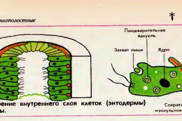 Кракен шоп krakenweb site