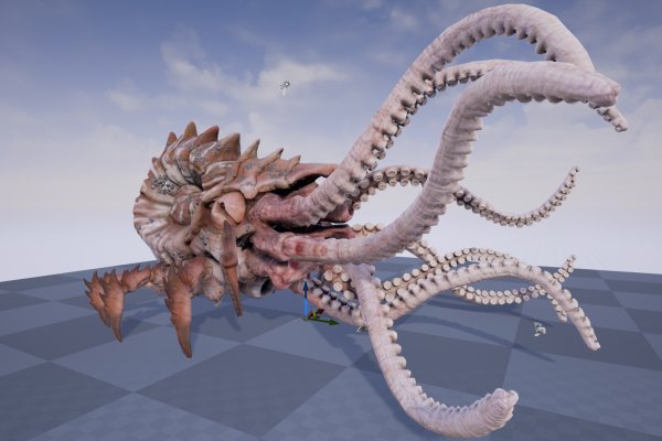 Kraken 18 at