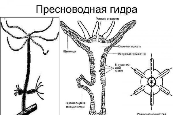 Взломали аккаунт на кракене что делать